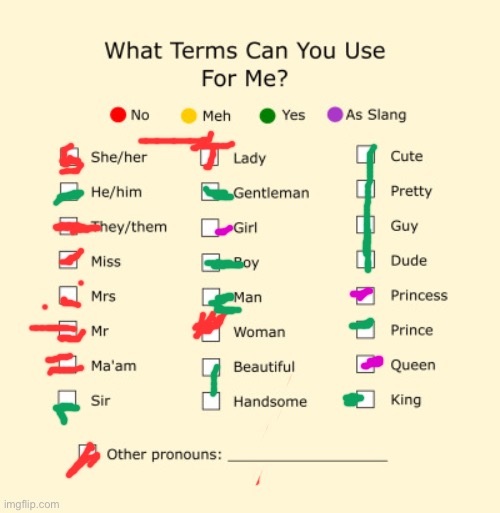 Pronouns Sheet | image tagged in pronouns sheet | made w/ Imgflip meme maker