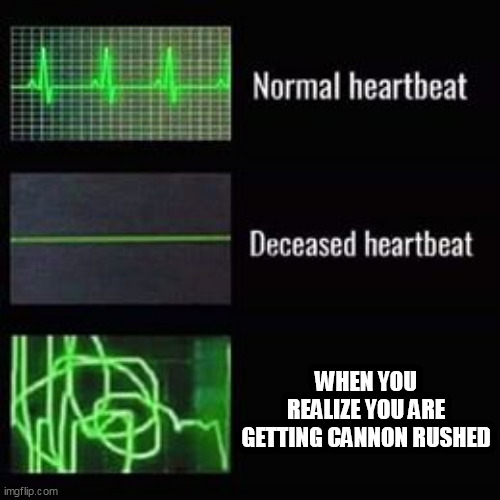 I go through that every day | WHEN YOU REALIZE YOU ARE GETTING CANNON RUSHED | image tagged in heartbeat rate,starcraft,cannon,gaming | made w/ Imgflip meme maker