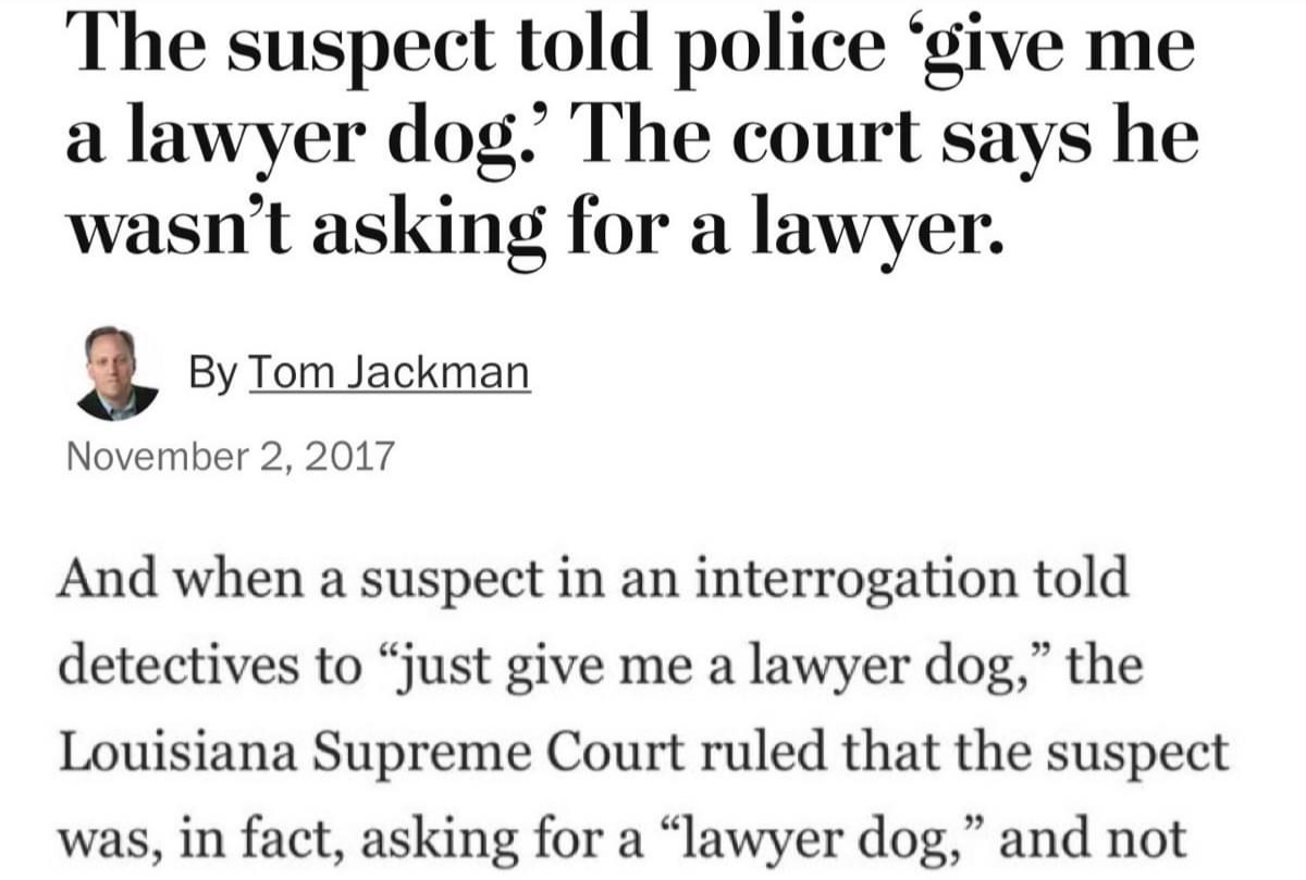 High Quality Give me a lawyer dog Blank Meme Template