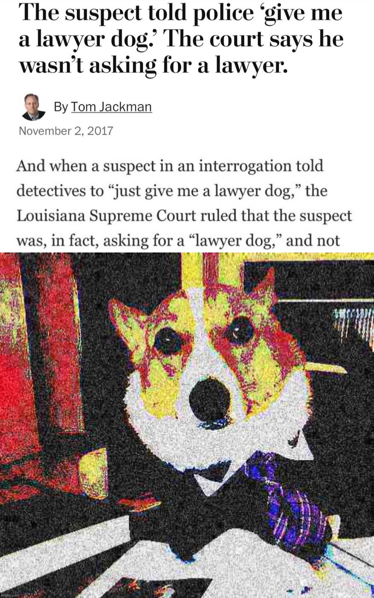 Arf? | image tagged in give me a lawyer dog,lawyer corgi dog deep-fried | made w/ Imgflip meme maker