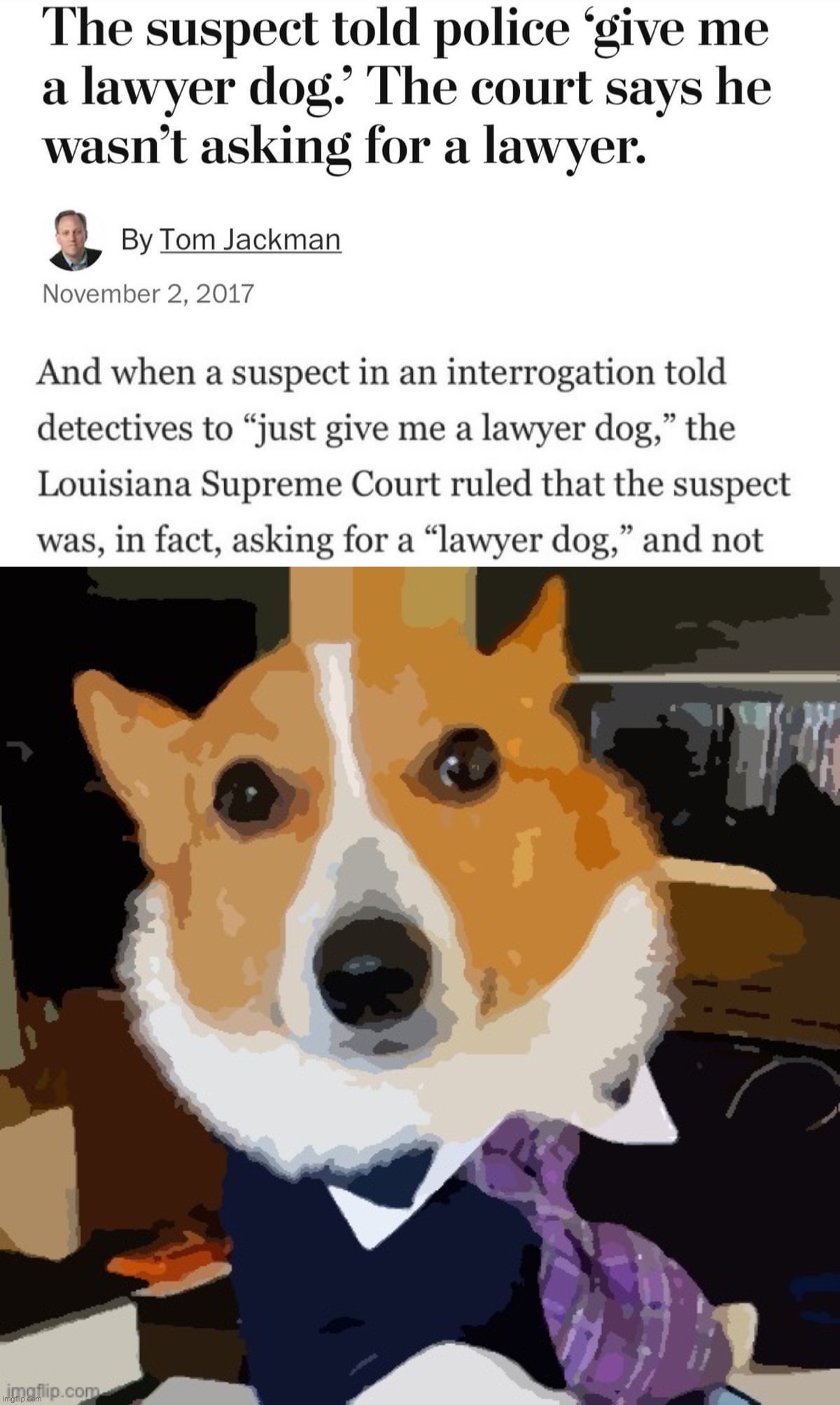 image tagged in give me a lawyer dog,lawyer corgi dog posterized | made w/ Imgflip meme maker