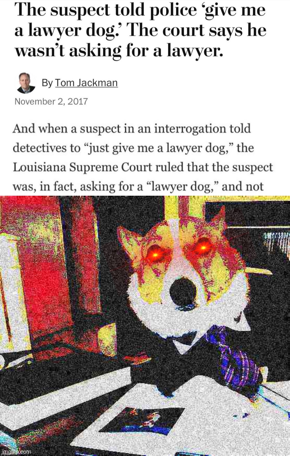 *angry lawyer dog noises* | image tagged in give me a lawyer dog,lawyer corgi dog deep-fried,lawyer,lawyer dog,lawyer corgi dog,lawyers | made w/ Imgflip meme maker