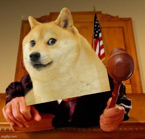 *angry lawyer dog noises* - Imgflip