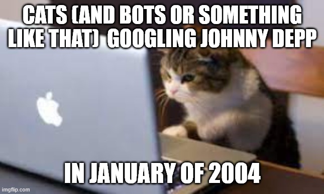 Cats searching Johnny | CATS (AND BOTS OR SOMETHING LIKE THAT)  GOOGLING JOHNNY DEPP; IN JANUARY OF 2004 | image tagged in cats searching johnny | made w/ Imgflip meme maker