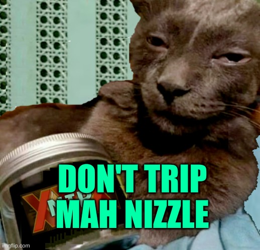 DON'T TRIP MAH NIZZLE | image tagged in shiposta 4 lyfe | made w/ Imgflip meme maker