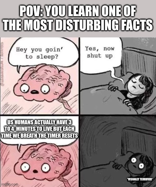 waking up brain | POV: YOU LEARN ONE OF THE MOST DISTURBING FACTS; US HUMANS ACTUALLY HAVE 3 TO 4  MINUTES TO LIVE BUT EACH TIME WE BREATH THE TIMER RESETS; *VISUALLY TERRIFIED* | image tagged in waking up brain | made w/ Imgflip meme maker