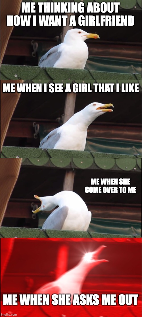 DA MEME | ME THINKING ABOUT HOW I WANT A GIRLFRIEND; ME WHEN I SEE A GIRL THAT I LIKE; ME WHEN SHE COME OVER TO ME; ME WHEN SHE ASKS ME OUT | image tagged in memes,inhaling seagull | made w/ Imgflip meme maker