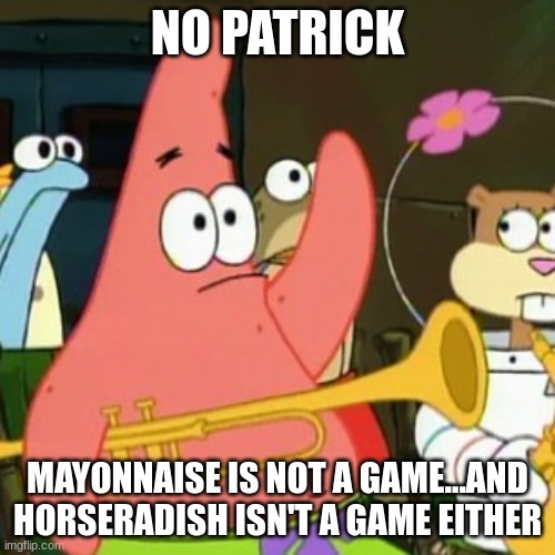 condiments aren't games | NO PATRICK; MAYONNAISE IS NOT A GAME...AND HORSERADISH ISN'T A GAME EITHER | image tagged in memes,no patrick | made w/ Imgflip meme maker