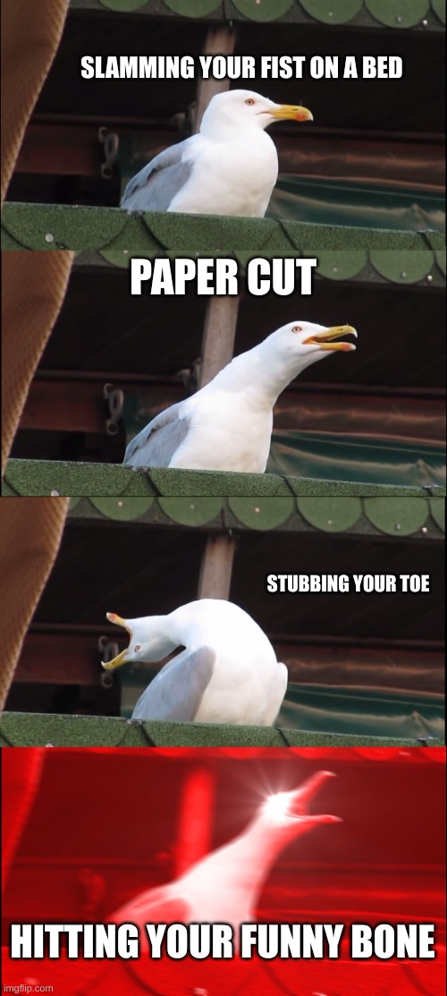 pain levels | SLAMMING YOUR FIST ON A BED; PAPER CUT; STUBBING YOUR TOE; HITTING YOUR FUNNY BONE | image tagged in memes,inhaling seagull | made w/ Imgflip meme maker