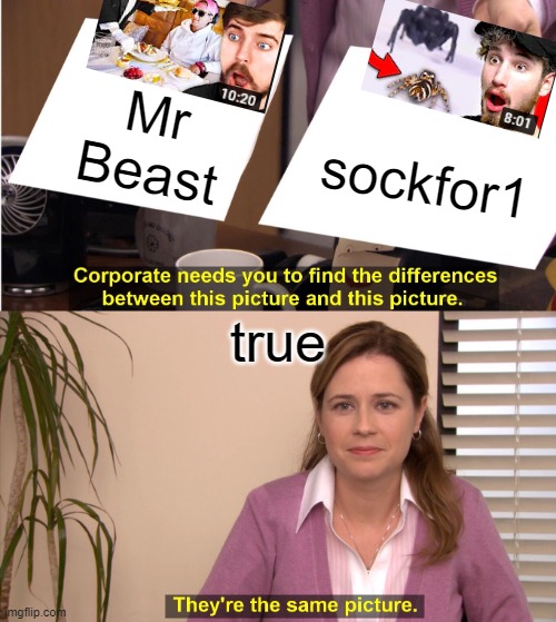 bruh | Mr Beast; sockfor1; true | image tagged in memes,they're the same picture | made w/ Imgflip meme maker