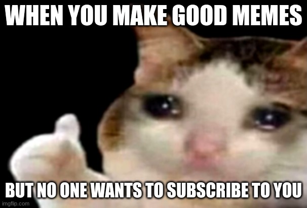 Sad |  WHEN YOU MAKE GOOD MEMES; BUT NO ONE WANTS TO SUBSCRIBE TO YOU | image tagged in sad cat thumbs up,subscribe | made w/ Imgflip meme maker