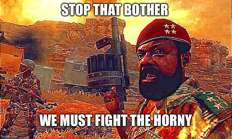 MPLA | STOP THAT BOTHER; WE MUST FIGHT THE HORNY | image tagged in mpla | made w/ Imgflip meme maker