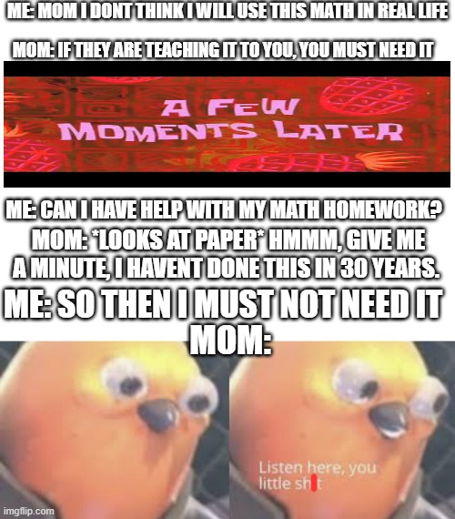 True story from me. | ME: MOM I DONT THINK I WILL USE THIS MATH IN REAL LIFE; MOM: IF THEY ARE TEACHING IT TO YOU, YOU MUST NEED IT; ME: CAN I HAVE HELP WITH MY MATH HOMEWORK? MOM: *LOOKS AT PAPER* HMMM, GIVE ME A MINUTE, I HAVENT DONE THIS IN 30 YEARS. ME: SO THEN I MUST NOT NEED IT; MOM: | image tagged in blank white template,listen here you little shit bird | made w/ Imgflip meme maker
