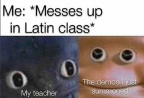 image tagged in memes | made w/ Imgflip meme maker