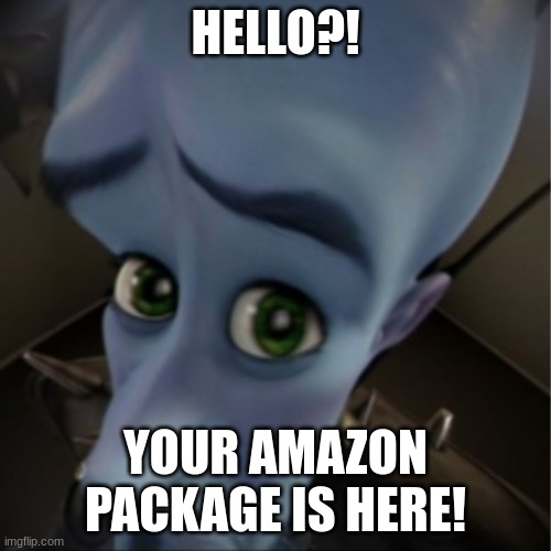 Amazon Delivery | HELLO?! YOUR AMAZON PACKAGE IS HERE! | image tagged in megamind peeking | made w/ Imgflip meme maker