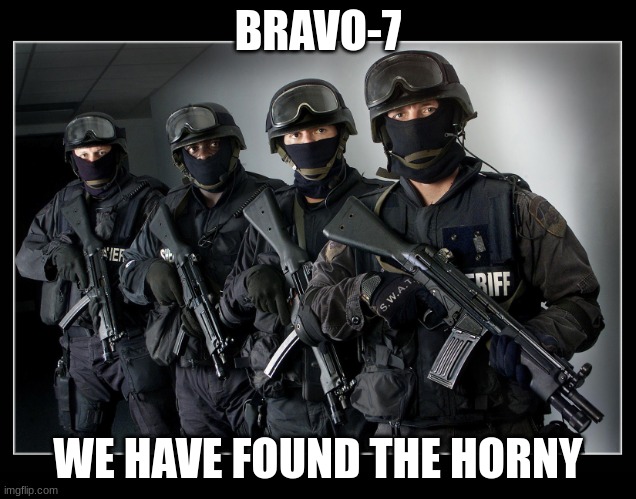 *Helicopter sounds in the distance* | BRAVO-7; WE HAVE FOUND THE HORNY | image tagged in sheriff's swat team | made w/ Imgflip meme maker