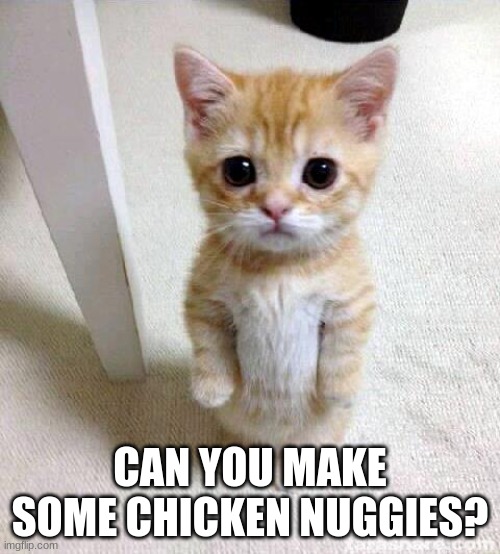 Chicken Nuggies | CAN YOU MAKE SOME CHICKEN NUGGIES? | image tagged in memes,cute cat | made w/ Imgflip meme maker