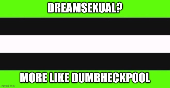 Dumb heck pool | DREAMSEXUAL? MORE LIKE DUMBHECKPOOL | image tagged in dreamsexual flag,dream,cringe | made w/ Imgflip meme maker