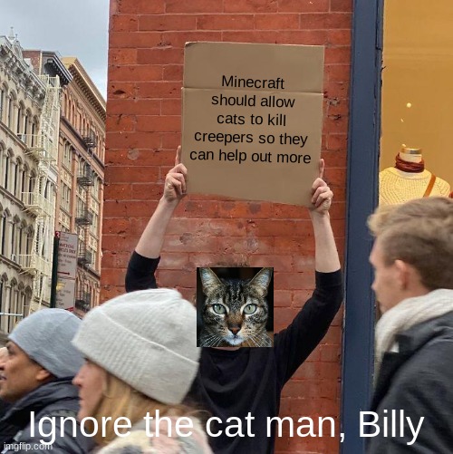cat | Minecraft should allow cats to kill creepers so they can help out more; Ignore the cat man, Billy | image tagged in memes,guy holding cardboard sign | made w/ Imgflip meme maker