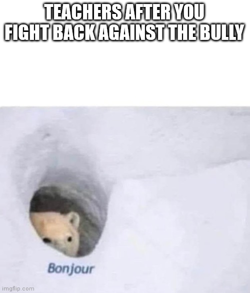 What a coincidence |  TEACHERS AFTER YOU FIGHT BACK AGAINST THE BULLY | image tagged in bonjour,memes,funny memes,meme,relatable memes | made w/ Imgflip meme maker