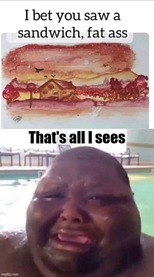  That's all I sees | image tagged in fat man crys,sandwich | made w/ Imgflip meme maker