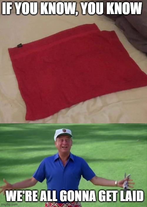 IF YOU KNOW, YOU KNOW; WE'RE ALL GONNA GET LAID | image tagged in rodney dangerfield caddyshack we're all gonna get laid | made w/ Imgflip meme maker