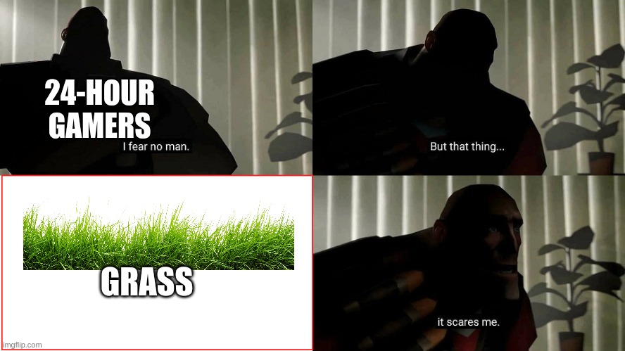 24-hour gamers be like: | 24-HOUR
GAMERS; GRASS | image tagged in tf2 heavy i fear no man | made w/ Imgflip meme maker