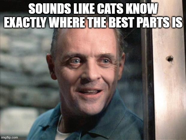 Hannibal Lecter | SOUNDS LIKE CATS KNOW EXACTLY WHERE THE BEST PARTS IS | image tagged in hannibal lecter | made w/ Imgflip meme maker