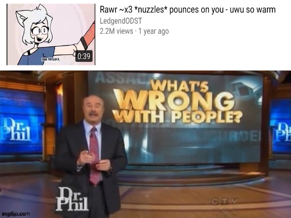 image tagged in the furry fandom,dr phil what's wrong with people,memes,youtube | made w/ Imgflip meme maker