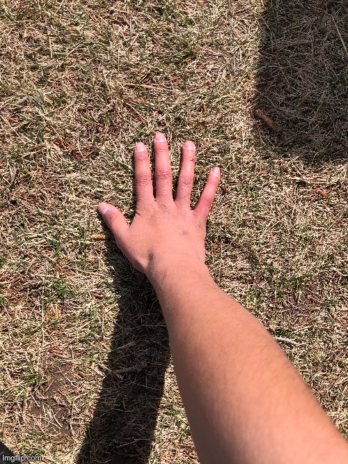 I touched some grass | made w/ Imgflip meme maker