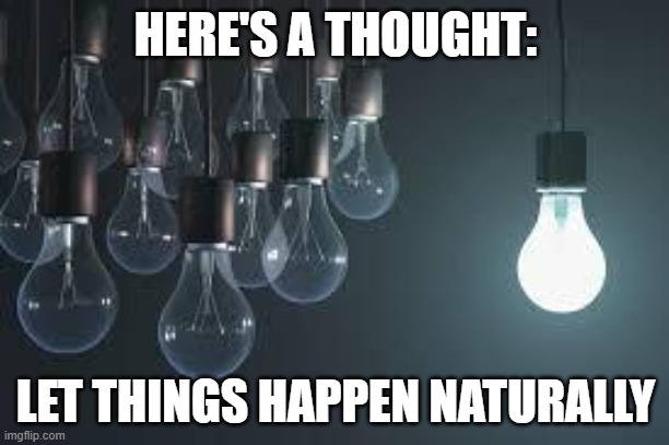 light bulbs | HERE'S A THOUGHT: LET THINGS HAPPEN NATURALLY | image tagged in light bulbs | made w/ Imgflip meme maker