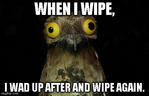Weird Stuff I Do Potoo | WHEN I WIPE, I WAD UP AFTER AND WIPE AGAIN. | image tagged in weird stuff i do potoo,AdviceAnimals | made w/ Imgflip meme maker