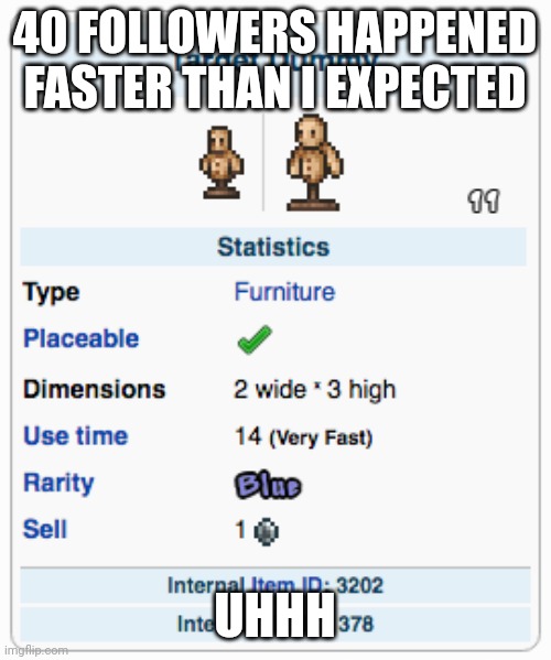 Terraria Training Dummy | 40 FOLLOWERS HAPPENED FASTER THAN I EXPECTED; UHHH | image tagged in terraria training dummy | made w/ Imgflip meme maker