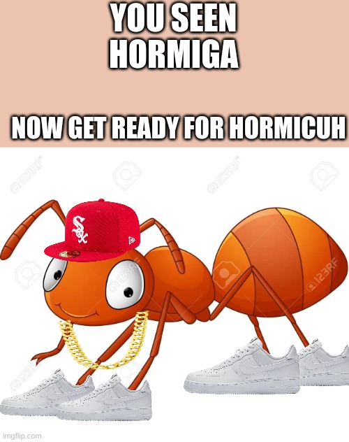 idk | YOU SEEN HORMIGA; NOW GET READY FOR HORMICUH | image tagged in funny | made w/ Imgflip meme maker