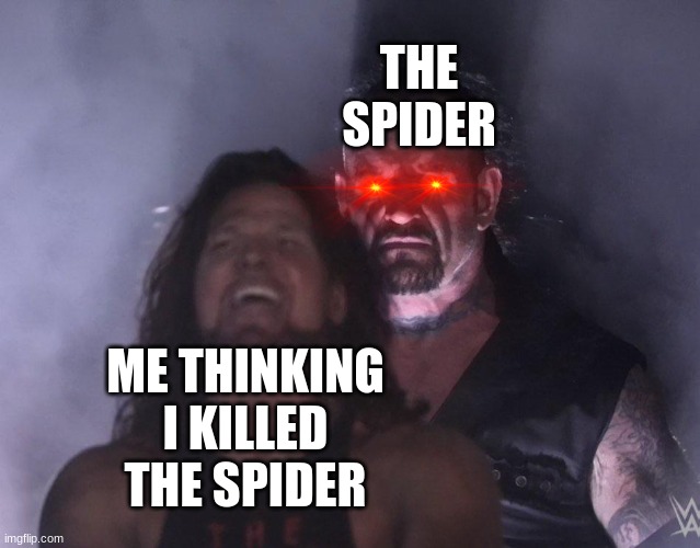 undertaker |  THE SPIDER; ME THINKING I KILLED THE SPIDER | image tagged in undertaker | made w/ Imgflip meme maker