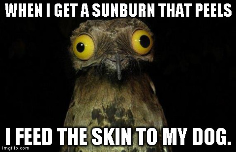 Weird Stuff I Do Potoo | WHEN I GET A SUNBURN THAT PEELS I FEED THE SKIN TO MY DOG. | image tagged in weird stuff i do potoo,AdviceAnimals | made w/ Imgflip meme maker