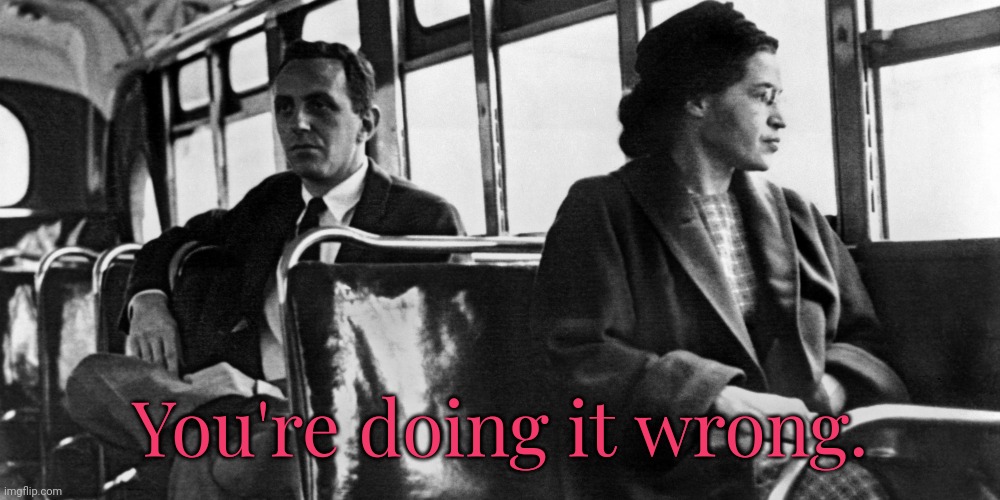 Rosa Parks | You're doing it wrong. | image tagged in rosa parks | made w/ Imgflip meme maker