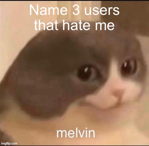 Tbh there’s probably a lot | Name 3 users that hate me | image tagged in melvin | made w/ Imgflip meme maker