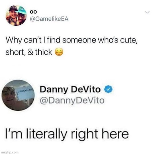 I mean, Hey, I'd definitely smash Daddy DeVito- DANNY, I MEANT "DANNY"! xD | image tagged in memes,funny,twitter,danny devito,moving hearts | made w/ Imgflip meme maker