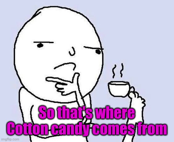 Thinking dude with a tea cup | So that's where Cotton candy comes from | image tagged in thinking dude with a tea cup | made w/ Imgflip meme maker