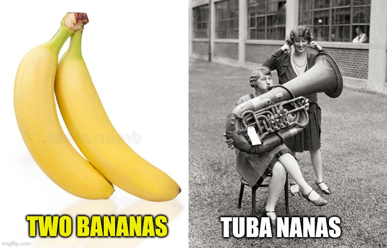 Banana Nanas | TUBA NANAS; TWO BANANAS | image tagged in two,bananas,tuba,nanas,funny,wordplay | made w/ Imgflip meme maker