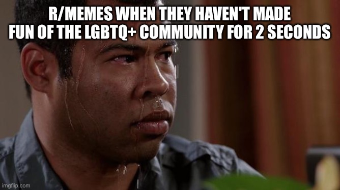 True | R/MEMES WHEN THEY HAVEN'T MADE FUN OF THE LGBTQ+ COMMUNITY FOR 2 SECONDS | image tagged in sweating bullets | made w/ Imgflip meme maker