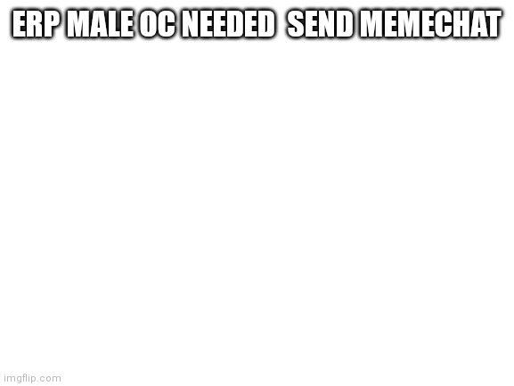 Blank White Template | ERP MALE OC NEEDED  SEND MEMECHAT | image tagged in blank white template | made w/ Imgflip meme maker