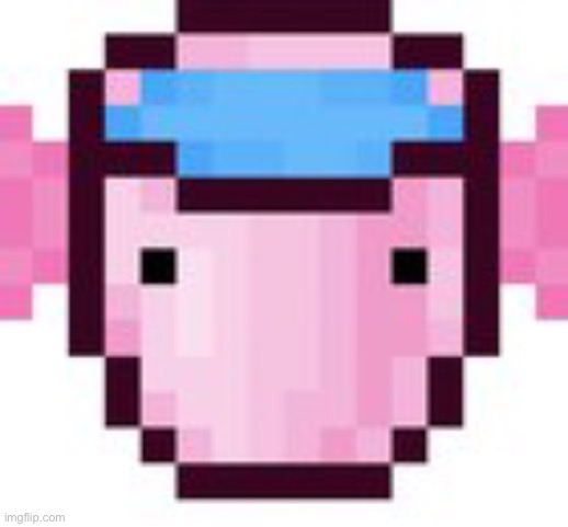 Axolotl of Bucket | image tagged in axolotl,memes,minecraft,funny | made w/ Imgflip meme maker