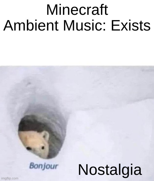 The quickest way to obtain 64 nostalgia |  Minecraft Ambient Music: Exists; Nostalgia | image tagged in bonjour | made w/ Imgflip meme maker