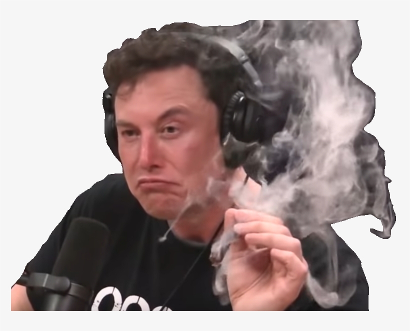 High Quality Elon transparent Blank Meme Template