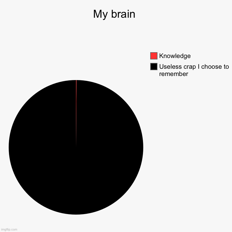 My brain | Useless crap I choose to remember, Knowledge | image tagged in charts,pie charts | made w/ Imgflip chart maker