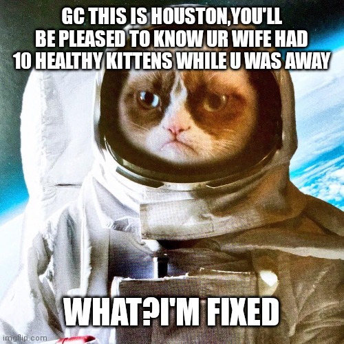 Grumpy Interstellar Astronaut | GC THIS IS HOUSTON,YOU'LL BE PLEASED TO KNOW UR WIFE HAD 10 HEALTHY KITTENS WHILE U WAS AWAY; WHAT?I'M FIXED | image tagged in grumpy interstellar astronaut | made w/ Imgflip meme maker