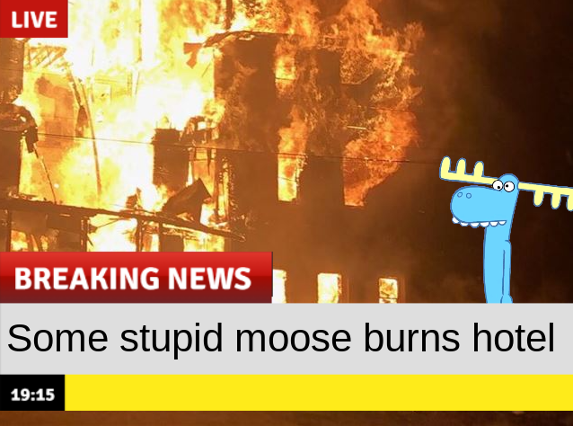High Quality Some stupid moose burns hotel Blank Meme Template