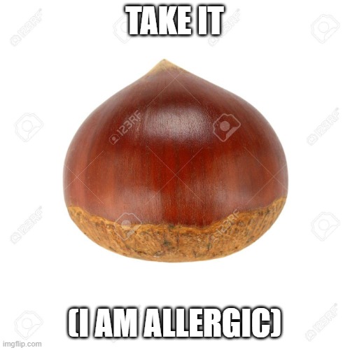 CHESTNUT | TAKE IT (I AM ALLERGIC) | image tagged in chestnut | made w/ Imgflip meme maker
